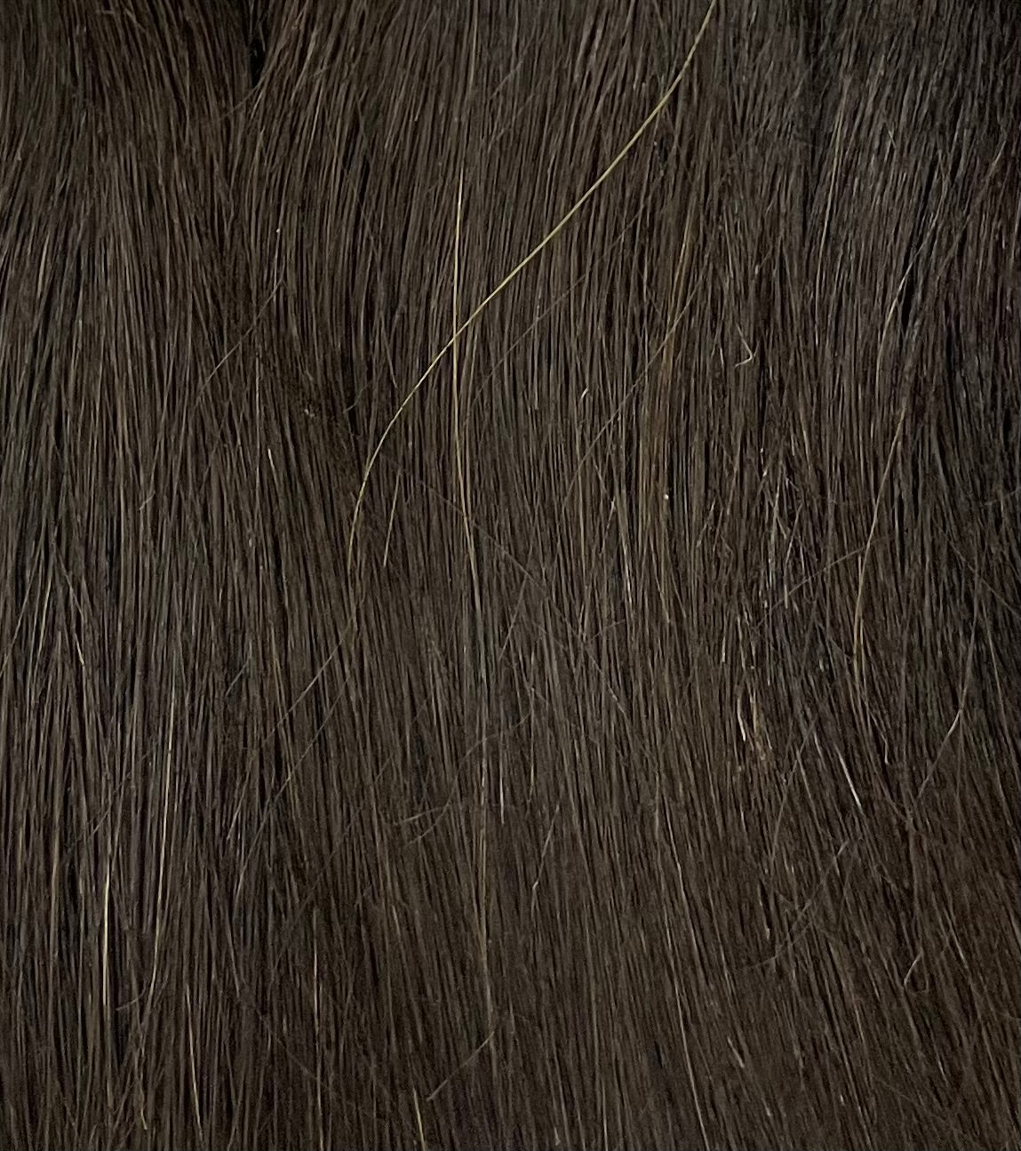 Empire 100% Human Hair by Sensationnel - Yaki Straight (Basic Colors)